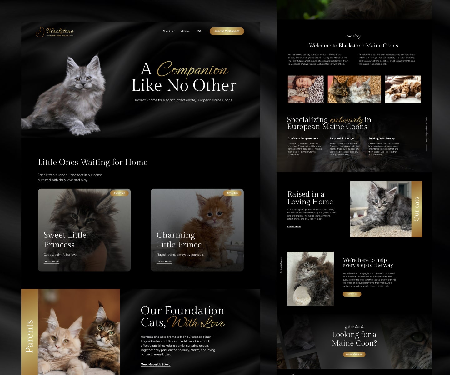 screenshot of Blackstone Maine Coons website